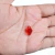 Pingente moranguinho cobre jarra