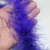 Marabu de plumas