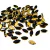 Chaton engrampado preto