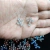 Cruz falso strass transparente