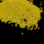 Vidrilho leitoso amarelo 