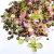 Mix de Miçangas Floral Pathways M4 250g