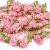 Rococó rosa com folha