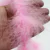 Marabu de pluma rosa