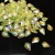 Pingente Acrílico Bacalhau Boreal 20x15mm 500g