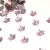 chaton coroa para colagem