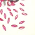 Chaton para bordados