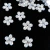 Chaton flor 16mm transparente