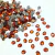Chaton oval 8x10mm para costurar