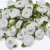 Rococó com strass branco