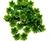 Enfeite flor verde