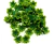 Enfeite flor verde