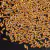 arrozinho 5x10mm laranja