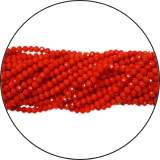 Categoria 5