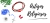 Banner de COLORE Pedrarias