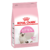 Royal Canin Kitten 36 x 7.5 kg.