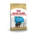 Royal Canin Yorkshire Terrier Junior x 1 kg. - comprar online