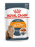 Salsa Royal Canin Gato Intense Beauty