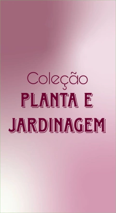 Categoria 24