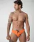 SwimBrief Bali