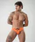 SwimBrief Bali on internet