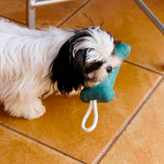 Imagem do Brinquedo para Cachorros Mabuu Pet - Osso com Corda - Cinza