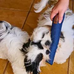 Brinquedo para Cães e Gatos Mabuu Pet - Almofada Reta - Rosa - comprar online