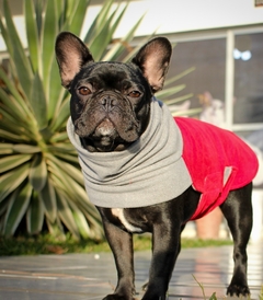 Roupa para Buldogue - Vermelha M