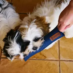 Brinquedo para Cães e Gatos Mabuu Pet - Almofada Reta - Xadrez na internet