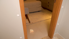Dog Door Mabuu Pet – Tela de Proteção para Portas - Branco