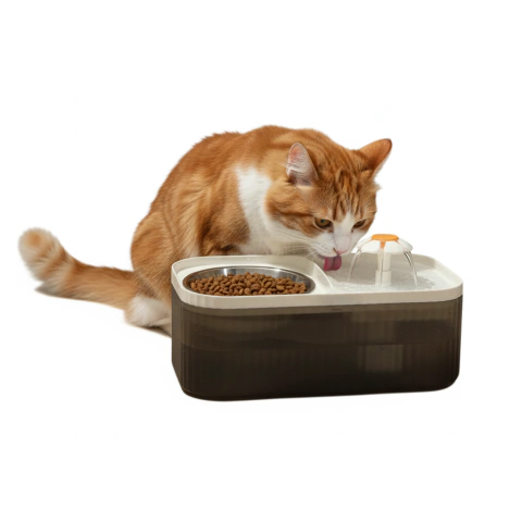 Fonte Bebedouro + Comedouro Mabuu Pet 2 em 1 - 3000 ml - comprar online