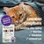 HomeoPet Feline Digestive Upsets - Natural Pet Digestive Support for Cats and Kittens - Gotas Homeopáticas para molestias digestivas x 15ml - comprar online