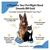 Pet Wellbeing - Smooth BM Gold for Cats & Dogs - 2 oz (59 ml) - Soporte intestinal para perros y gatos - 2 oz (59 ml) en internet