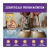 Wellness Complete Health - Gravies - Salmon Entree - Salmón en gravy x 85g en internet