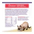Wellness Complete Health - Gravies - Salmon Entree - Salmón en gravy x 85g - Catfood Colombia