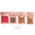 Mini Quarteto- Blush, Contorno, Iluminador, Pó e espelho- Lua e Neve - Loja Xoxo Makeup 