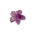 Mini Presilha Flor Pinterest na internet