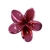 Presilha Pinterest Grande - loja online