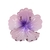 Presilha Flor