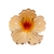 Presilha Flor na internet