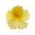 Presilha Flor - loja online