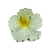 Imagem do Presilha Flor