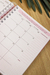Planner Financeiro 2025 Datado ou Permanente - Coleção Cherry - Cherry - comprar online