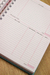 Planner Financeiro 2025 Datado ou Permanente Black and White - Coleção Cherry - comprar online