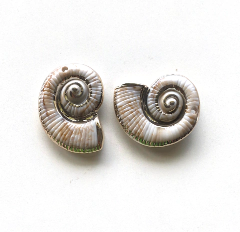 Conchas de Acrilico C/ Borda dourada