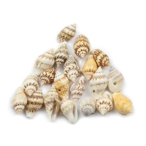 Mini Conchas Espiral C/ Furo