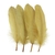 plumas de ganso - ornellaspedrarias.com.br