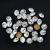 Strass - ornellaspedrarias.com.br