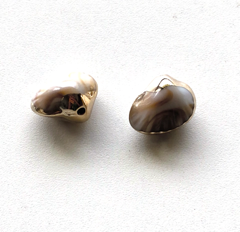 Conchas de Acrilico C/ Borda dourada - ornellas pedrarias armarinhos e artesanato