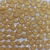 Chaton Redondo Base Reta para Colagem 10mm